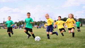 sports harmonicode